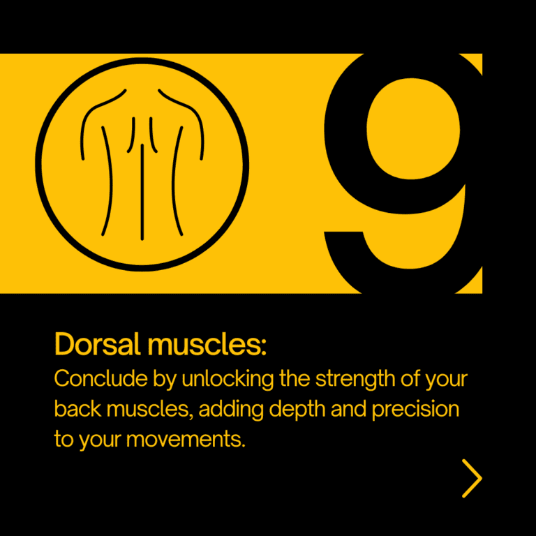 dorsal muscles